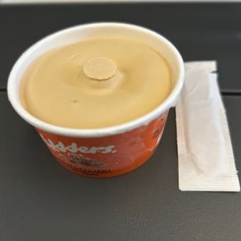 シンガポール3日め② チャンギ空港のラウンジ～シンガポール航空で帰国