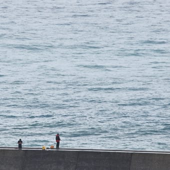 鳥と虹と親子と、海