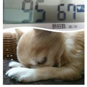 また、凍結かよ