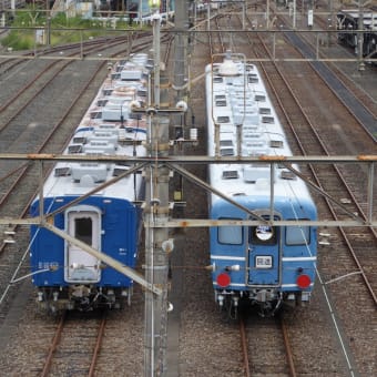 秩父鉄道＜東武鉄道甲種輸送シリーズ＞