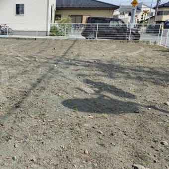 草取り作業