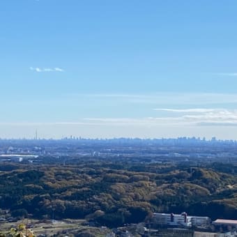 日和田山へ