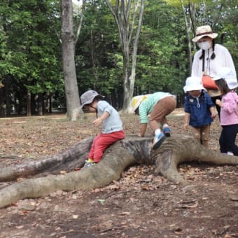 2歳児園外保育
