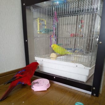 みんな元気に過ごせました