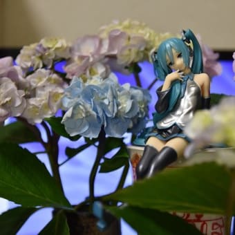撮影後、、、レロる、、、