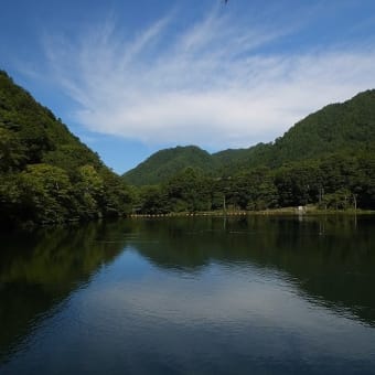 １６年9/10～今日の御嶽山～ソバの花～㉑