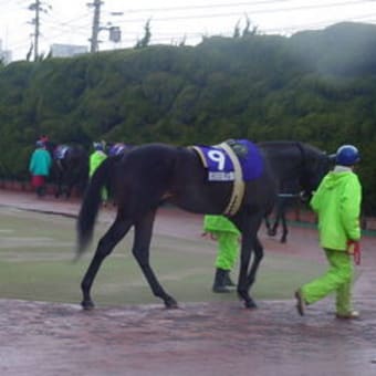 アングロアラブ いよいよ終焉へ 公営競技はどこへ行く アングロアラブ いよいよ終焉へ 公営競技はどこへ行く