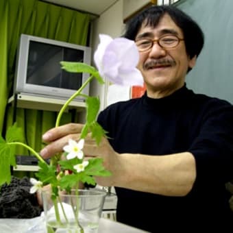 5月の教室で、