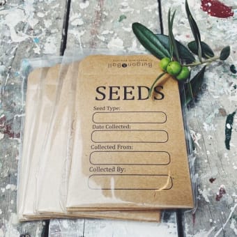 seed envelope