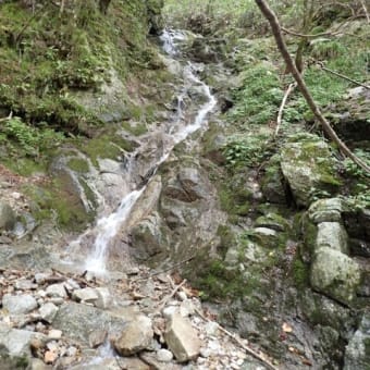 大川入山 矢作川の源流 柳川を遡行