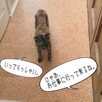 早く帰ってね！
