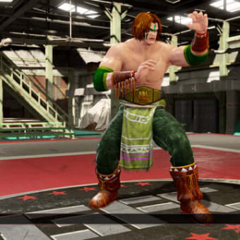 新作プロレスゲームへの個人的希望 ファイプロとプロレスと私 新作プロレスゲームへの個人的希望 ファイプロとプロレスと私