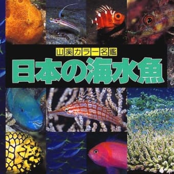 本の事 日本の海水魚 釣初心者日記