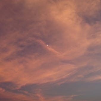 空はとっても綺麗なのに