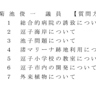 一般質問要旨を提出