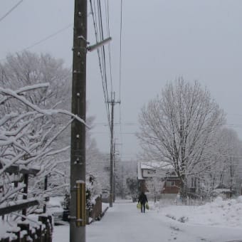 二日目の雪