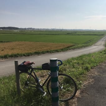 息子に譲った自転車