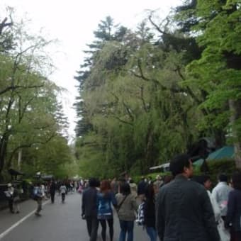 東北の桜３