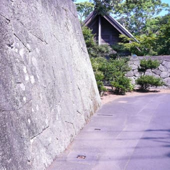 （五島弁・番外編・思い出） いんぎょ