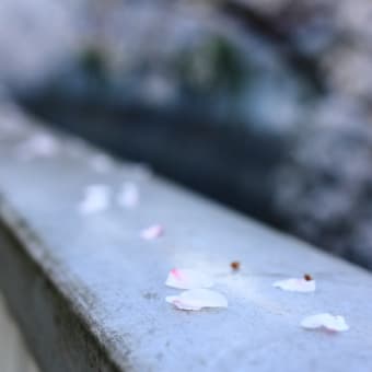 高戸橋まで