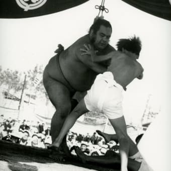 たかはまアーカイブス『大相撲高浜場所』新たな写真みつける