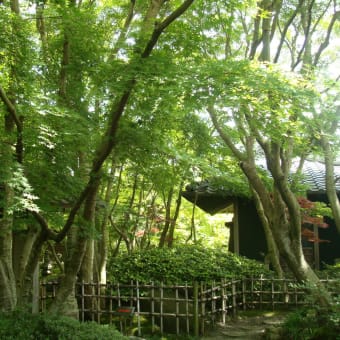 松山庭園美術館・猫ねこ展覧会開催中