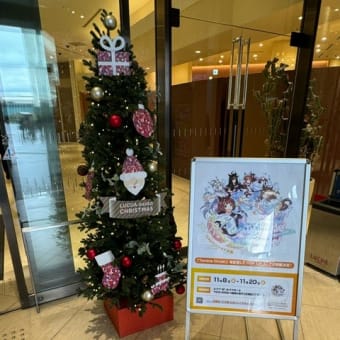 LUCUAに行ってました　k-hashii-japan　2024年11月19日