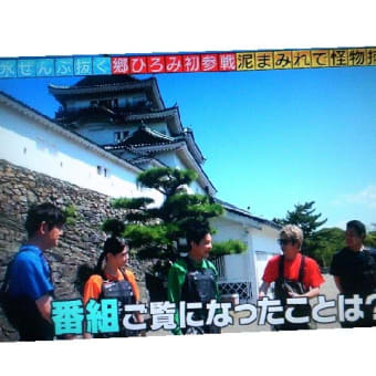 不定期だなぁ～