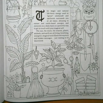 洋書塗り絵 Coloring Book of Shadows:『Witch Life』