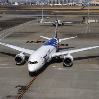 ANA B787-8"JA801A"と"JA802A"「鯖」なくなる⁉︎