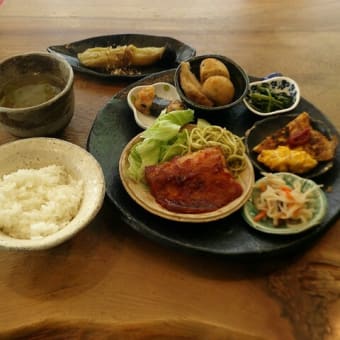 昼食のご紹介㉔