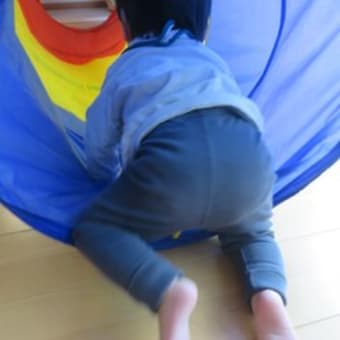 ニド（0歳クラス）（2025年3月）