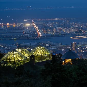 ハーブ園からの夜景