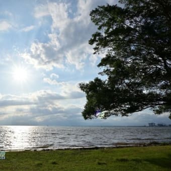 琵琶湖湖岸の景色