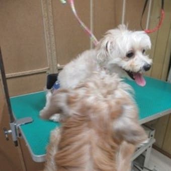 もちろん、地が良いんだけど、、、とっても可愛い写真が撮れた日