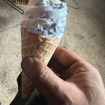 あなたよりもチョコミント？