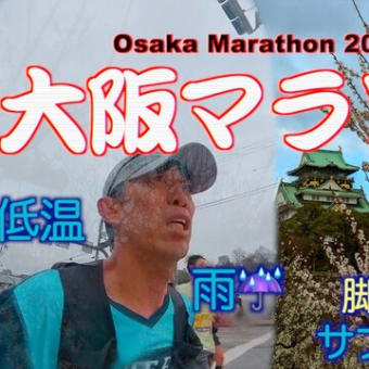 2024 大阪マラソン・・・雨・極寒　2日目（土曜日）コースチェック