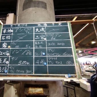 小田原魚市場にて新しい貝「シオフキガイ」仕入れました！
