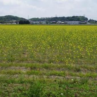 駅からハイキング　in 神崎（こうざき）