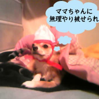 年賀状