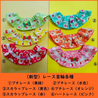 ２０２５年発売・新柄の首輪各種