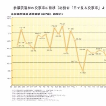 参議院選挙のど真ん中で思う