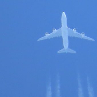 空を見て、なんとなく秋を感じた
