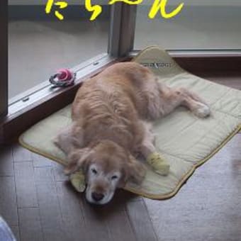 神宮（内宮）