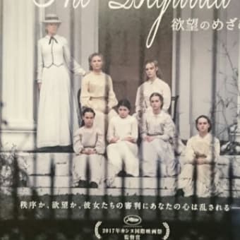 The Beguiled　ビガイルド　欲望のめざめ
