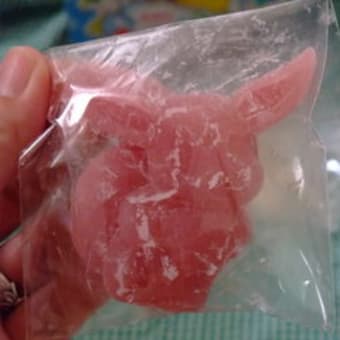 初めての・・・