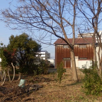 荒地を畑に