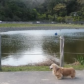 永福寺までお散歩
