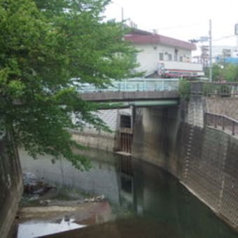 石神井公園を探索してみた　上編