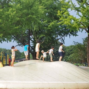 　　真夏の昭和記念公園でした　その４